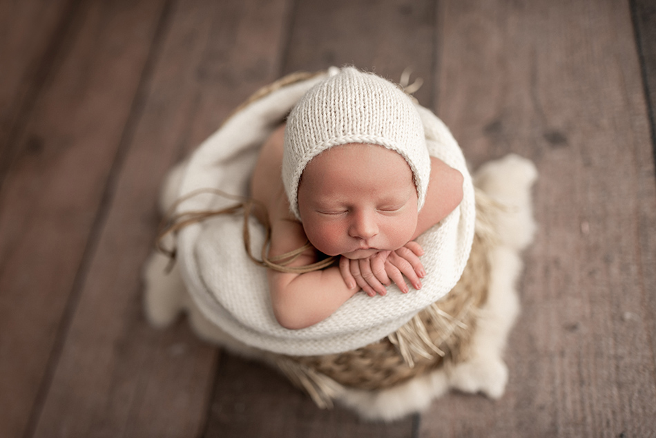 collierville baby photographer
